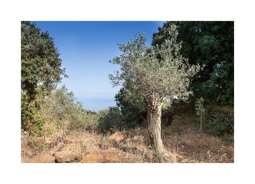 Ecoagriturismo Notti Stellate Etna Mare * Mascali