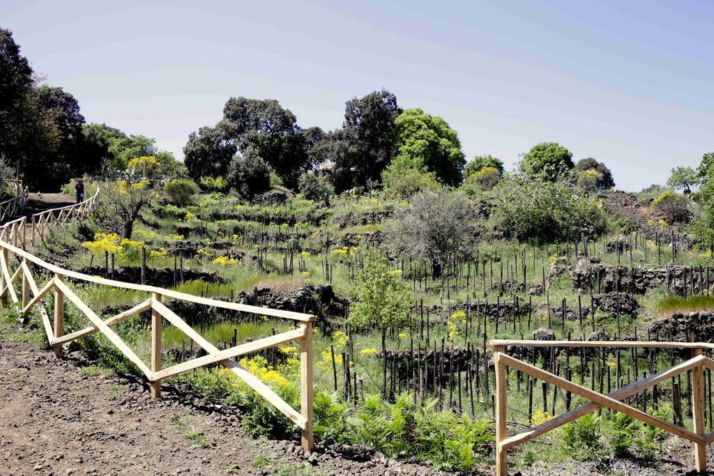 Farm stay Ecoagriturismo Notti Stellate Etna Mare Mascali