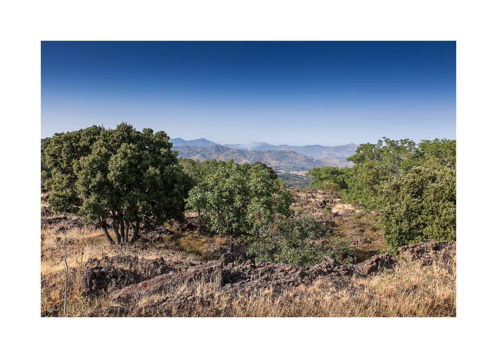 Ecoagriturismo Notti Stellate Etna Mare Farm stay