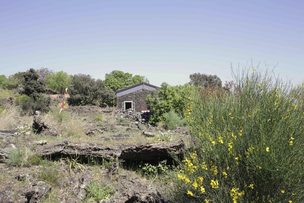 Ecoagriturismo Notti Stellate Etna Mare Farm stay Mascali