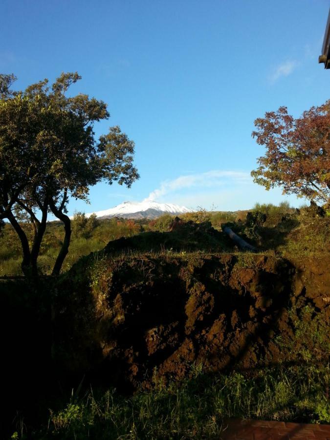 Ecoagriturismo Notti Stellate Etna Mare Farm stay
