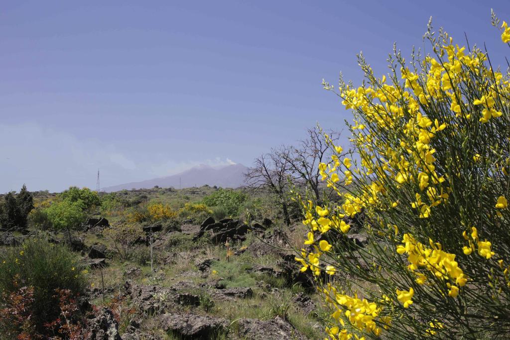Bauernhof Ecoagriturismo Notti Stellate Etna Mare